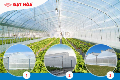 3 mô hình màng nhà kính phổ biến tại Việt Nam