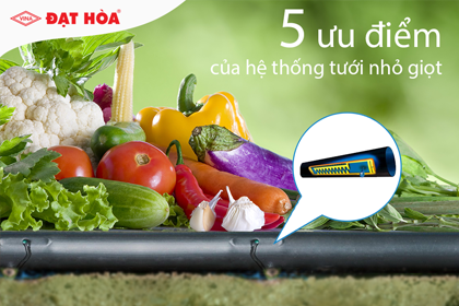 5 ưu điểm của hệ thống tưới nhỏ giọt