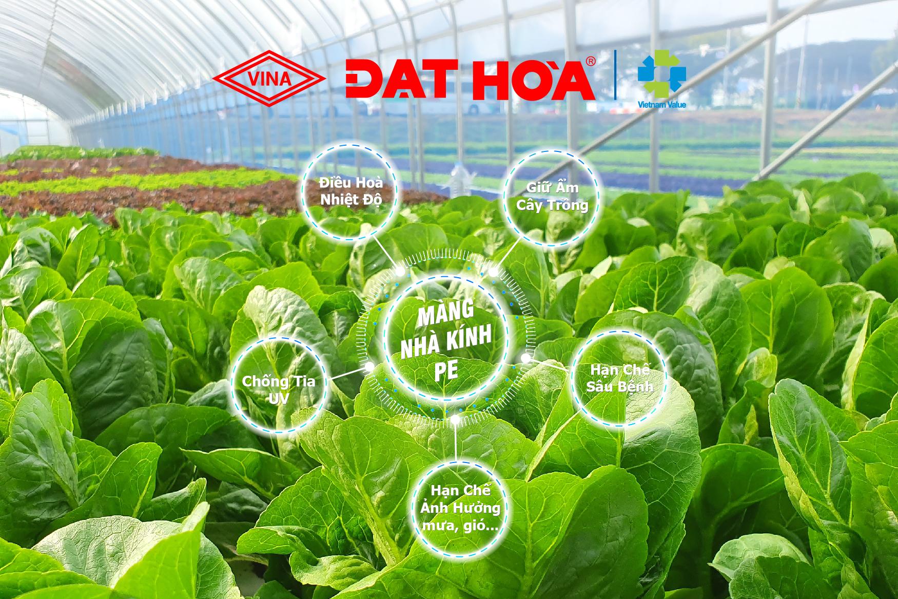 5 ƯU ĐIỂM VƯỢT TRỘI TRONG VIỆC ỨNG DỤNG MÀNG NHÀ KÍNH TRONG NÔNG NGHIỆP CÔNG NGHỆ CAO
