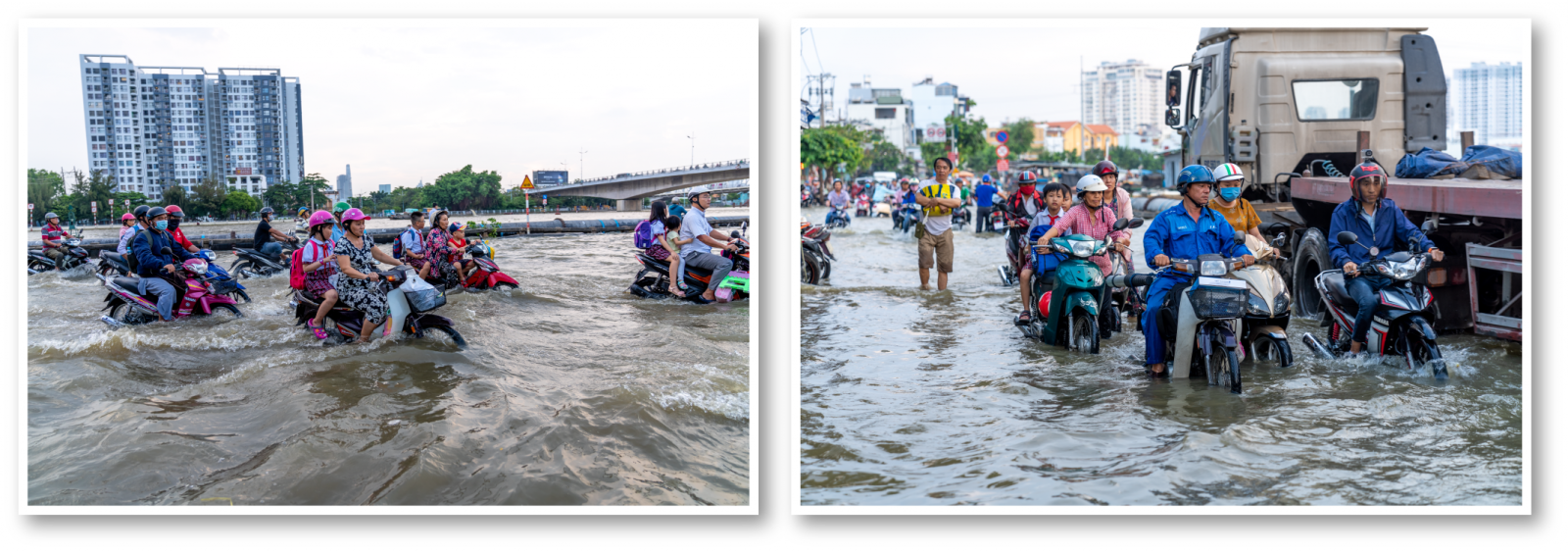 Cừ bản nhựa PVC Đạt Hoà: Giải pháp chống ngập, xâm nhập mặn, sạt lở hiệu quả