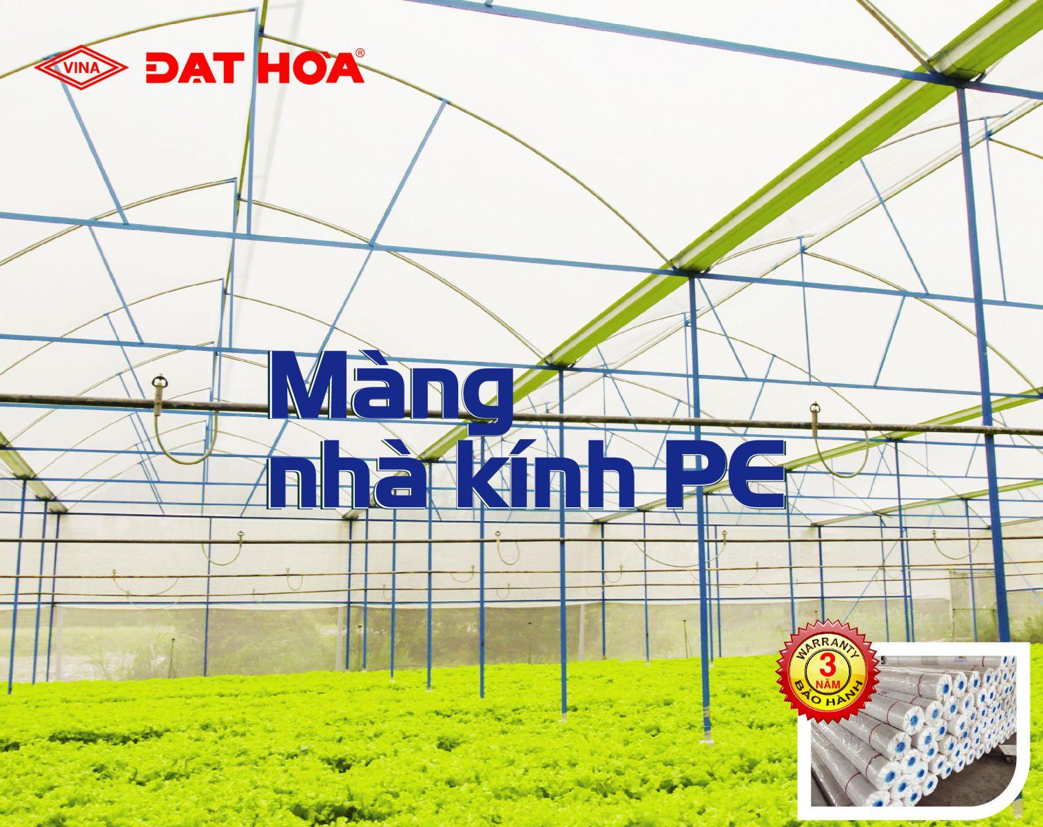 5 ưu điểm vượt trội trong việc ứng dụng nhà kính trong nông nghiệp