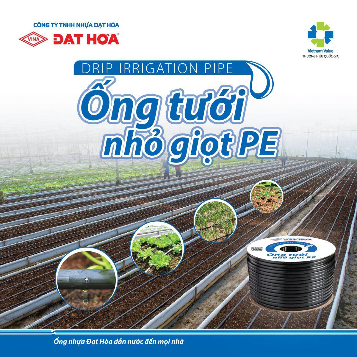 Ống tưới nhỏ giọt giải pháp hữu hiệu trong tưới nông nghiệp công nghệ cao
