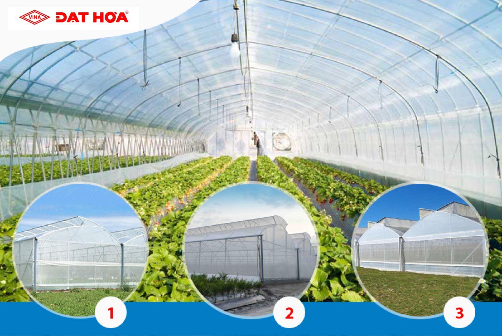 5 ưu điểm vượt trội trong việc ứng dụng nhà kính trong nông nghiệp