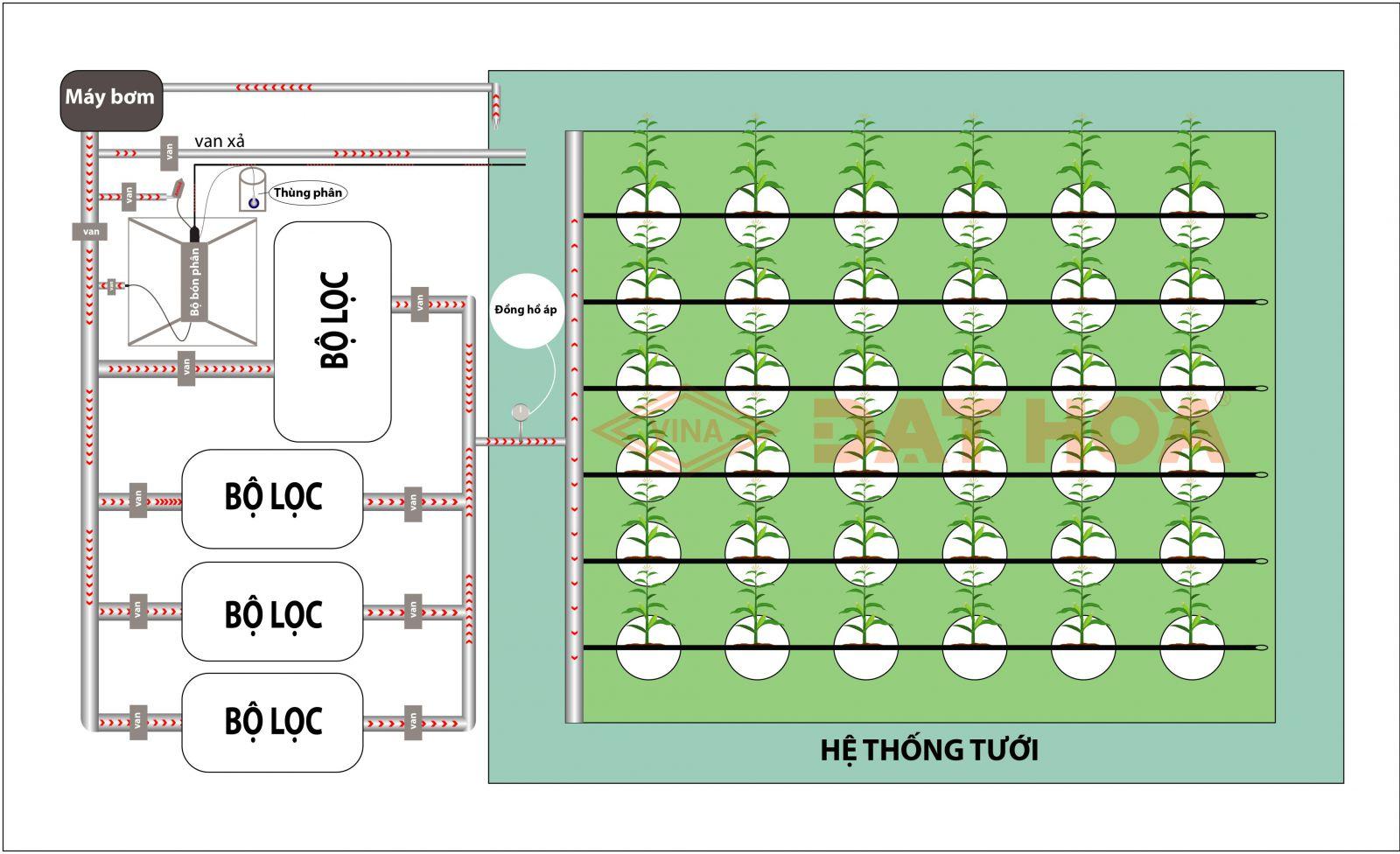 Ứng dụng hệ thống tưới nhỏ giọt trong nông nghiệp